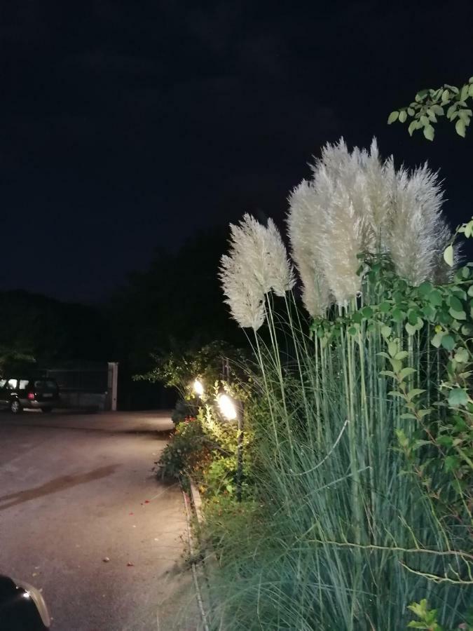Cagnano Amiterno Le Stanze Di Baccoヴィラ エクステリア 写真